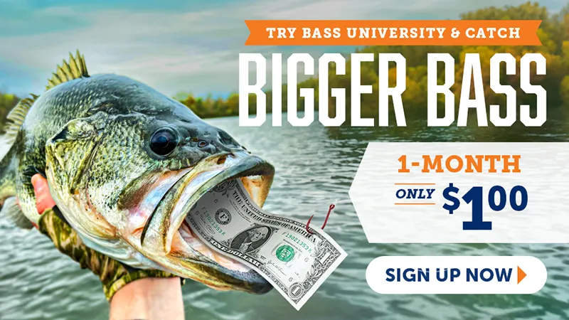 30 Days Bass University Deal