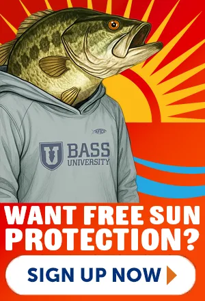 Bass University Best Price