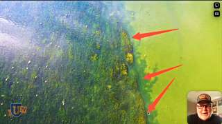 Magic Habitat of Grass Lines in Bass Fishing - Pete Gluszek