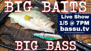 Swimbaits & Big Baits for Big Bass - January 2021