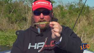 Topwater Baits for Spawning Bass - JT Kenney