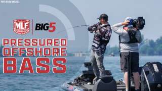 Pressured Offshore Bass with Nick Hatfield - May 2022